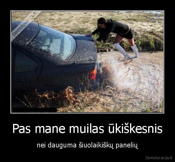 Pas mane muilas ūkiškesnis - nei dauguma šiuolaikiškų panelių. 