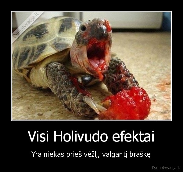 Visi Holivudo efektai - Yra niekas prieš vėžlį, valgantį braškę. 