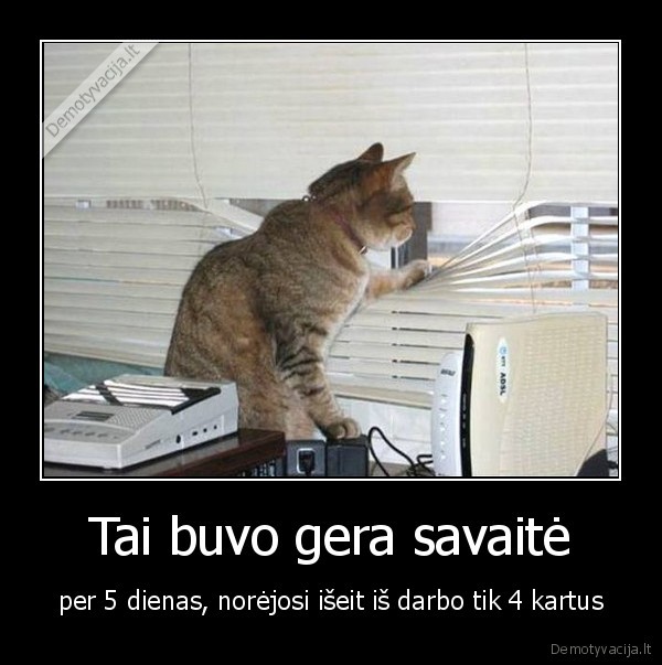 Tai buvo gera savaitė - per 5 dienas, norėjosi išeit iš darbo tik 4 kartus. 