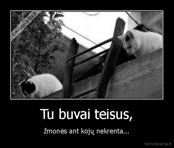 Tu buvai teisus, - žmonės ant kojų nekrenta.... 