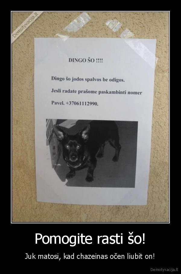 Pomogite rasti šo! - Juk matosi, kad chazeinas očen liubit on!. 