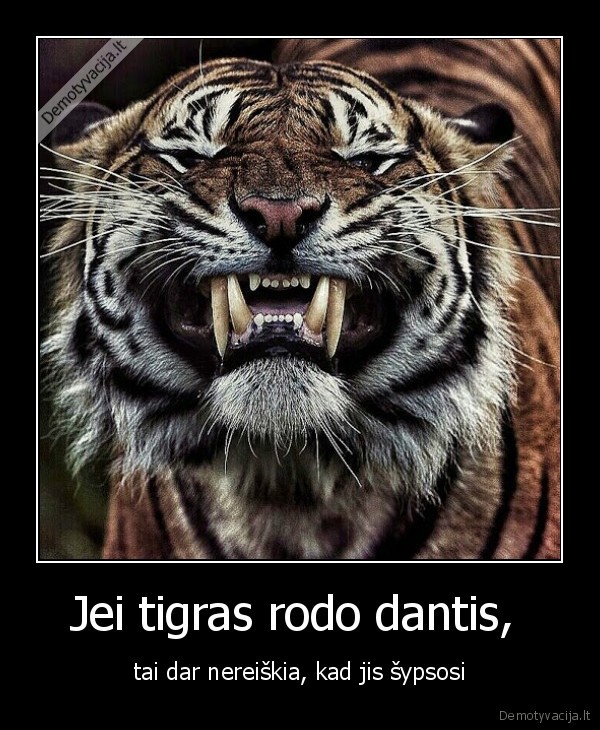 Jei tigras rodo dantis,  - tai dar nereiškia, kad jis šypsosi. 