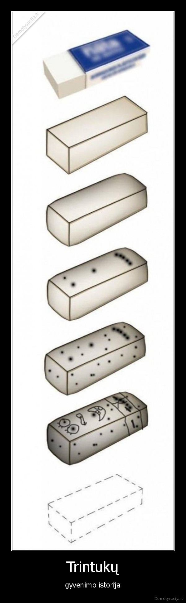 Trintukų - gyvenimo istorija. 