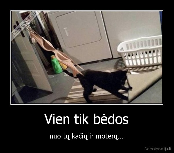 Vien tik bėdos - nuo tų kačių ir moterų.... 