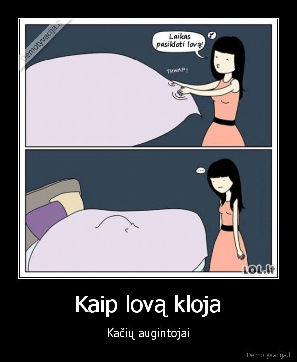 Kaip lovą kloja - Kačių augintojai. 