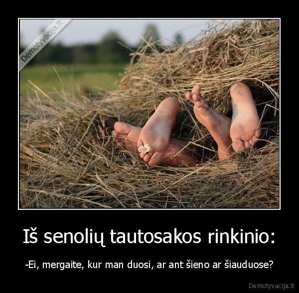 Iš senolių tautosakos rinkinio: - -Ei, mergaite, kur man duosi, ar ant šieno ar šiauduose?. 