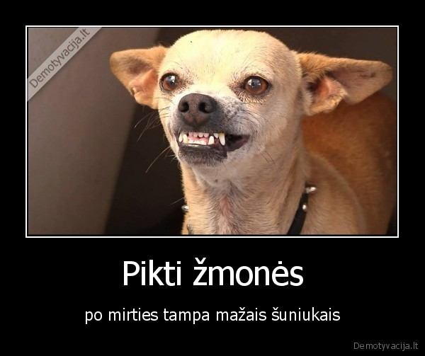 Pikti žmonės - po mirties tampa mažais šuniukais. 