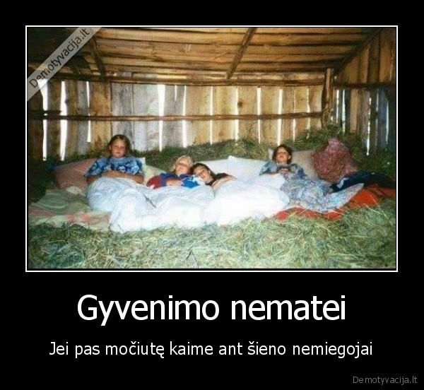 Gyvenimo nematei - Jei pas močiutę kaime ant šieno nemiegojai. 