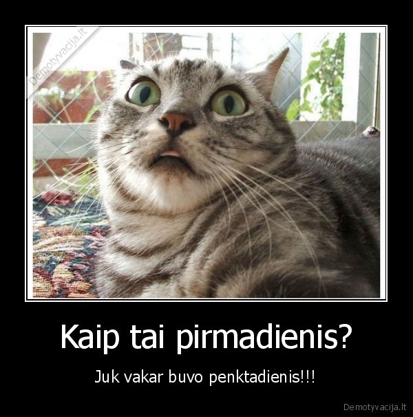 Kaip tai pirmadienis? - Juk vakar buvo penktadienis!!!. 