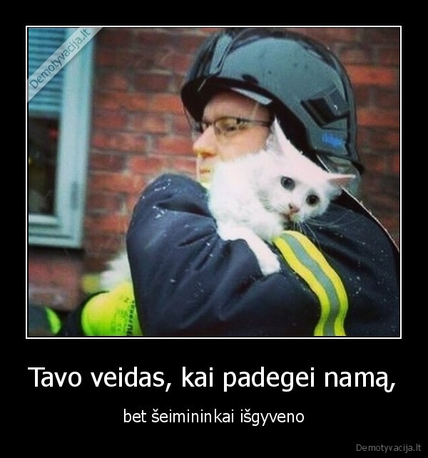 Tavo veidas, kai padegei namą, - bet šeimininkai išgyveno. 