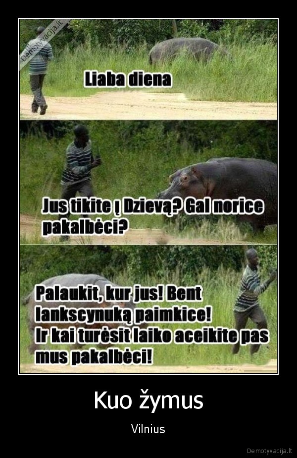 Kuo žymus - Vilnius. 