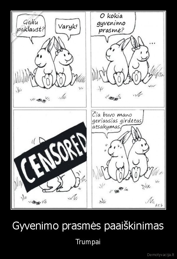 Gyvenimo prasmės paaiškinimas - Trumpai. 