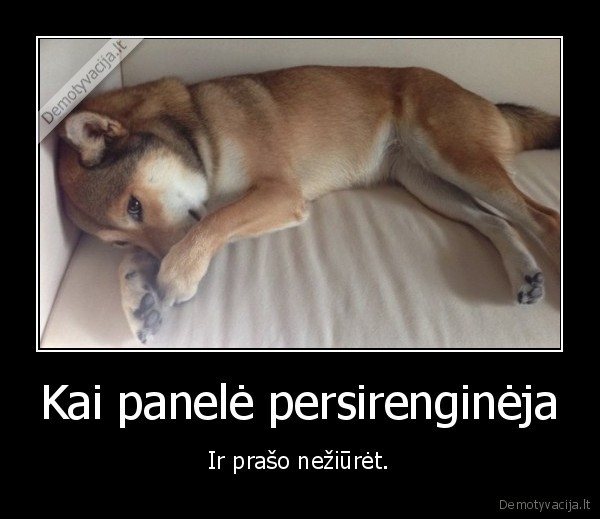 Kai panelė persirenginėja - Ir prašo nežiūrėt.. 