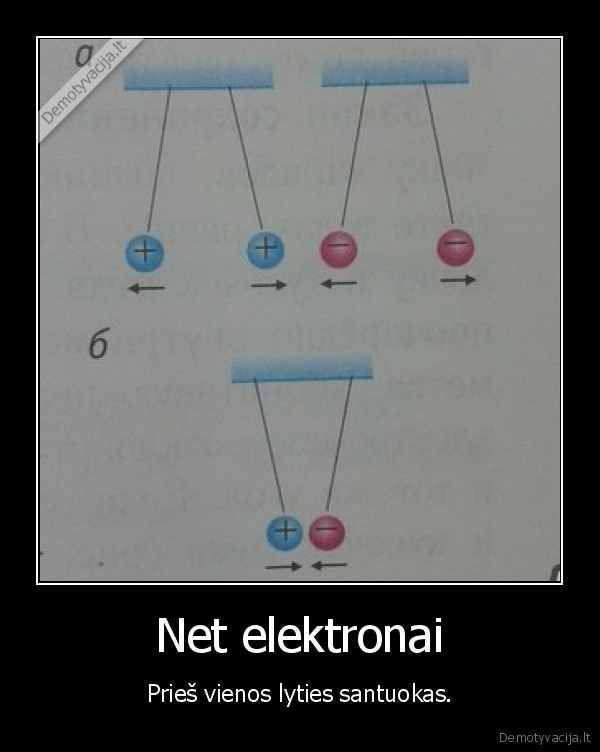 Net elektronai - Prieš vienos lyties santuokas.. 
