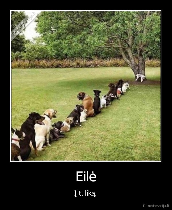 Eilė - Į tuliką.. 