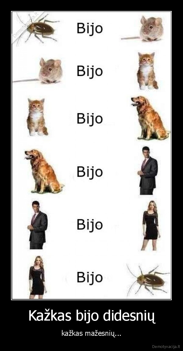 Kažkas bijo didesnių - kažkas mažesnių.... 