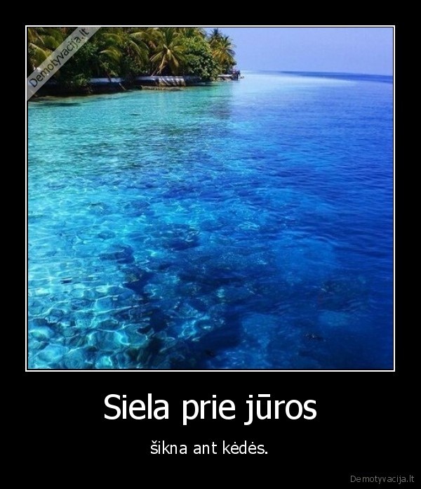 Siela prie jūros - šikna ant kėdės.. 