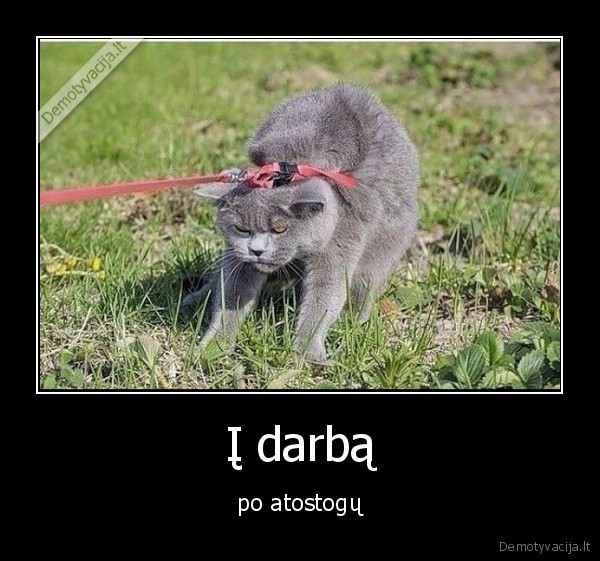 Į darbą - po atostogų. 