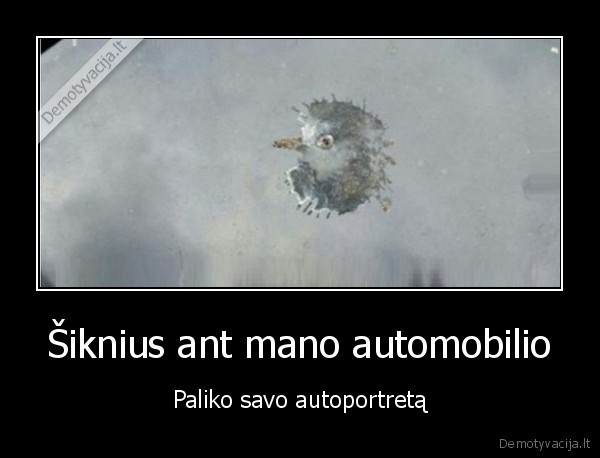 Šiknius ant mano automobilio - Paliko savo autoportretą. 