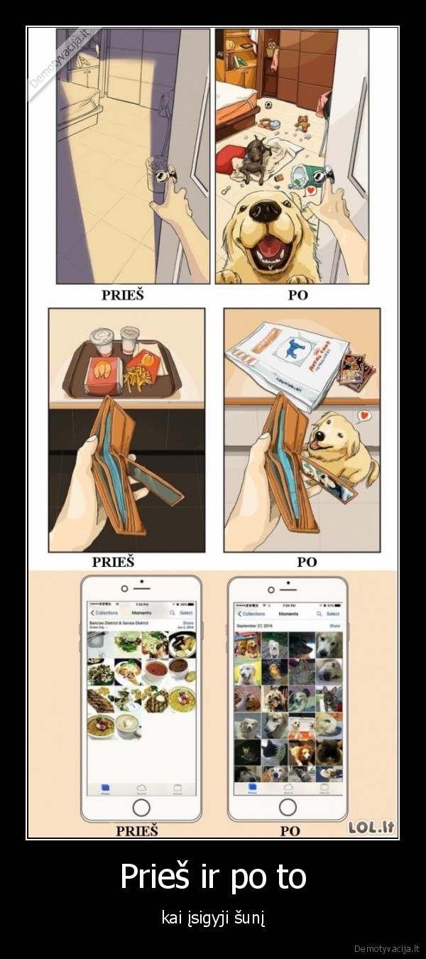 Prieš ir po to - kai įsigyji šunį. 