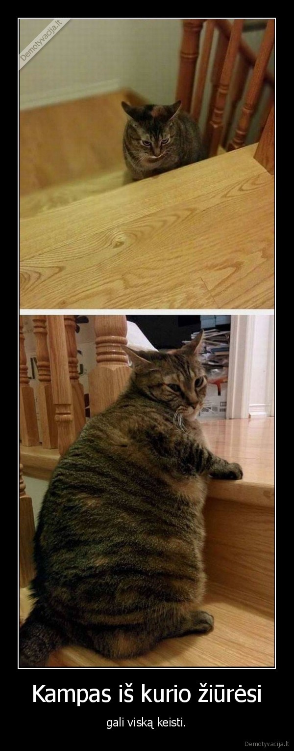 Kampas iš kurio žiūrėsi - gali viską keisti.. 