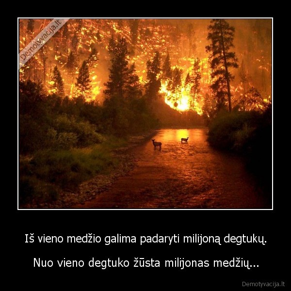 Iš vieno medžio galima padaryti milijoną degtukų. - Nuo vieno degtuko žūsta milijonas medžių.... 