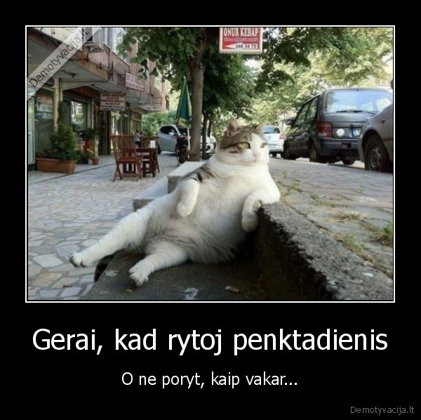 Gerai, kad rytoj penktadienis - O ne poryt, kaip vakar.... 