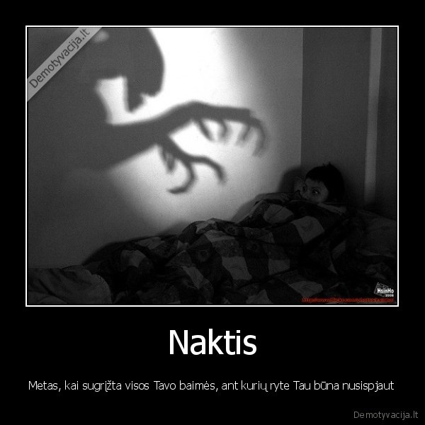 Naktis - Metas, kai sugrįžta visos Tavo baimės, ant kurių ryte Tau būna nusispjaut. 