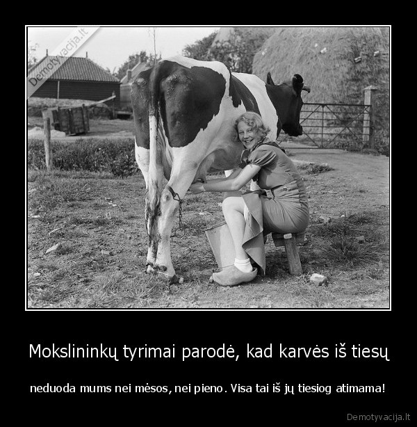 Mokslininkų tyrimai parodė, kad karvės iš tiesų - neduoda mums nei mėsos, nei pieno. Visa tai iš jų tiesiog atimama!. 