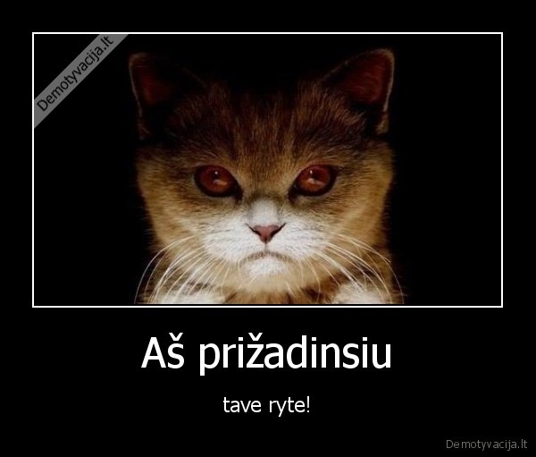 Aš prižadinsiu - tave ryte!. 