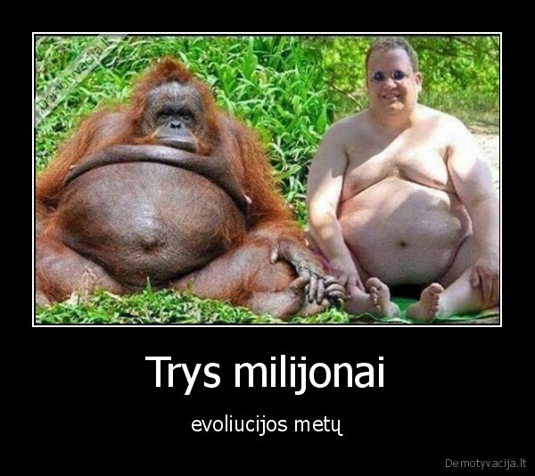Trys milijonai - evoliucijos metų. 