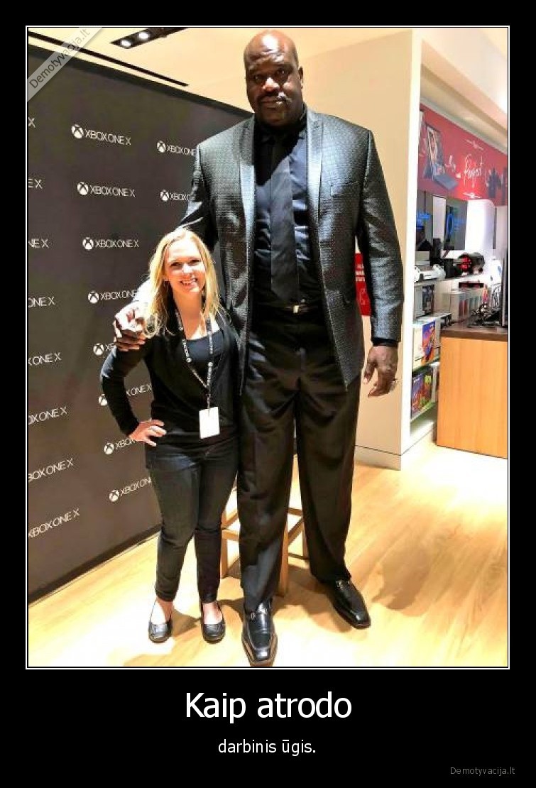 Kaip atrodo - darbinis ūgis.. 