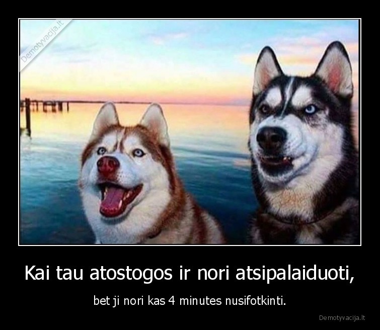 Kai tau atostogos ir nori atsipalaiduoti, - bet ji nori kas 4 minutes nusifotkinti.. 