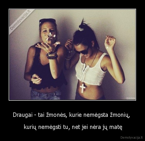 Draugai - tai žmonės, kurie nemėgsta žmonių,  -  kurių nemėgsti tu, net jei nėra jų matę. 