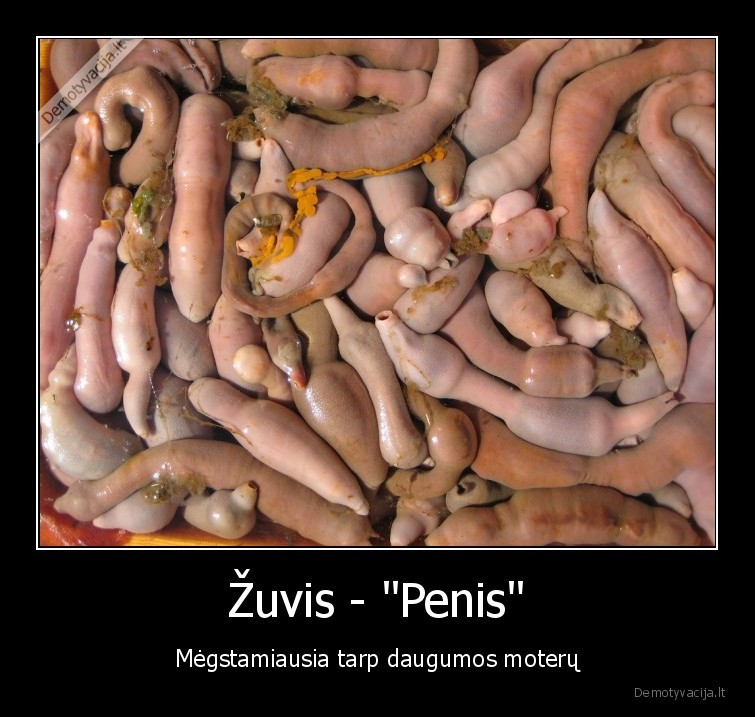 Žuvis - 