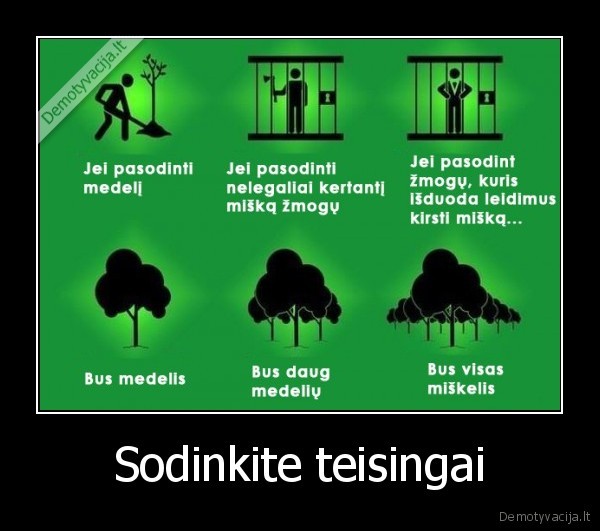 Sodinkite teisingai. 
