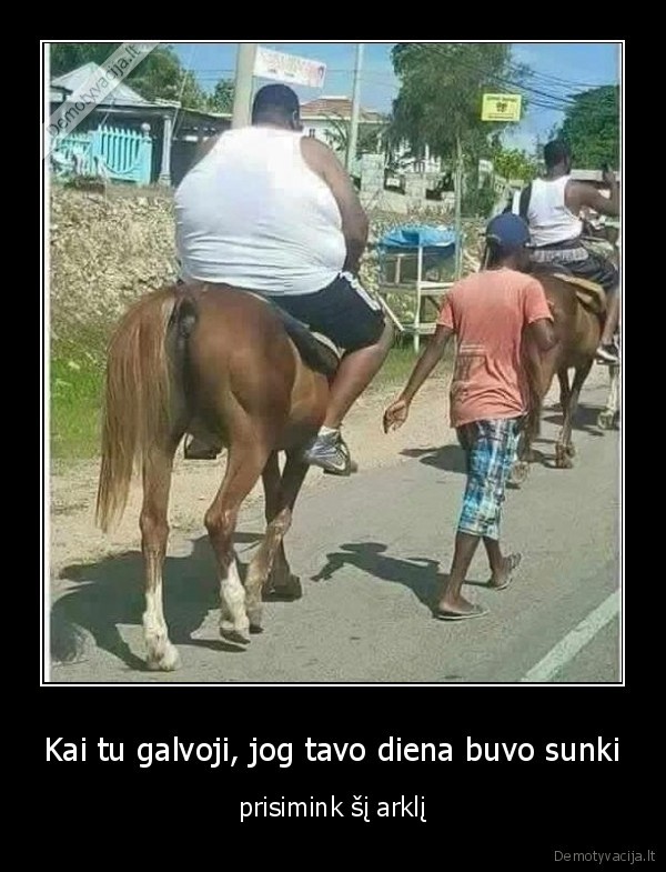 Kai tu galvoji, jog tavo diena buvo sunki - prisimink šį arklį. 