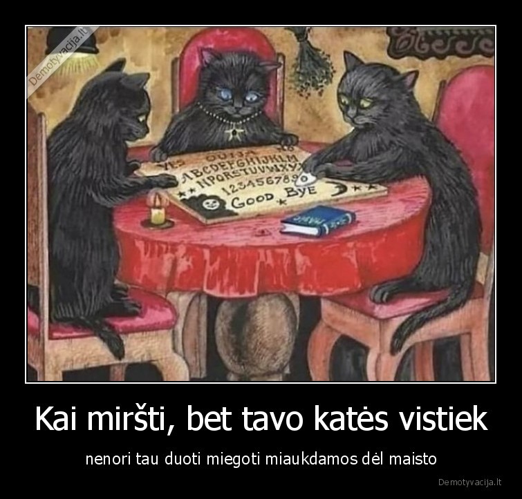 Kai miršti, bet tavo katės vistiek - nenori tau duoti miegoti miaukdamos dėl maisto. 