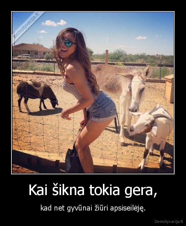 Kai šikna tokia gera, - kad net gyvūnai žiūri apsiseilėję.. 