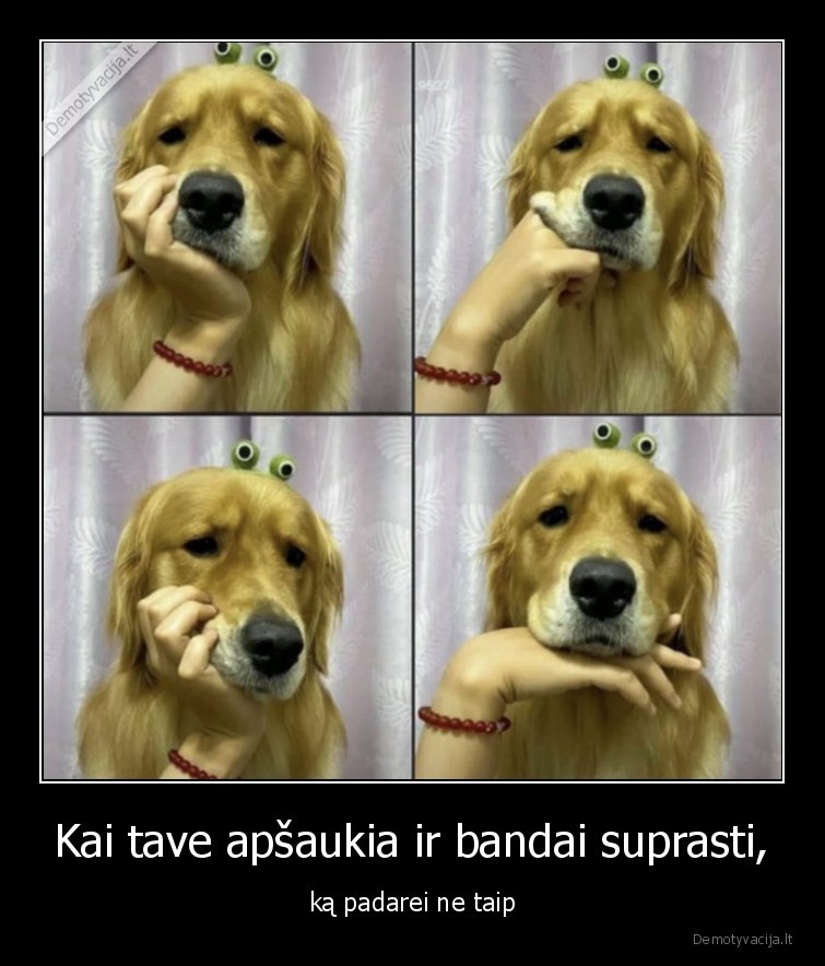 Kai tave apšaukia ir bandai suprasti, - ką padarei ne taip. 