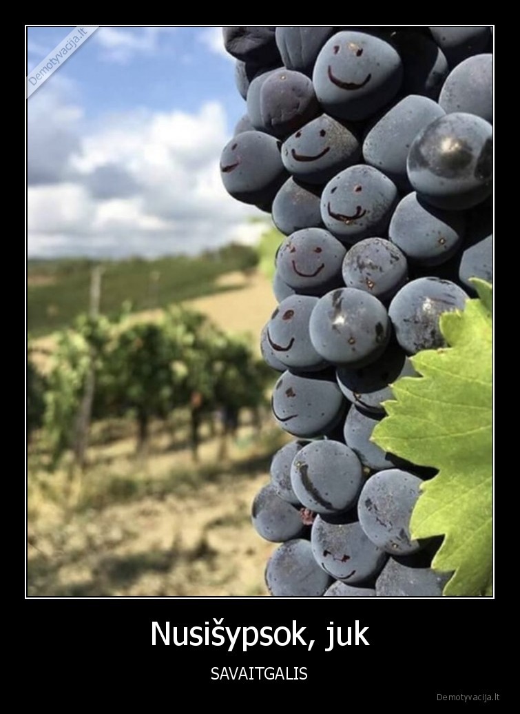 Nusišypsok, juk - SAVAITGALIS. 