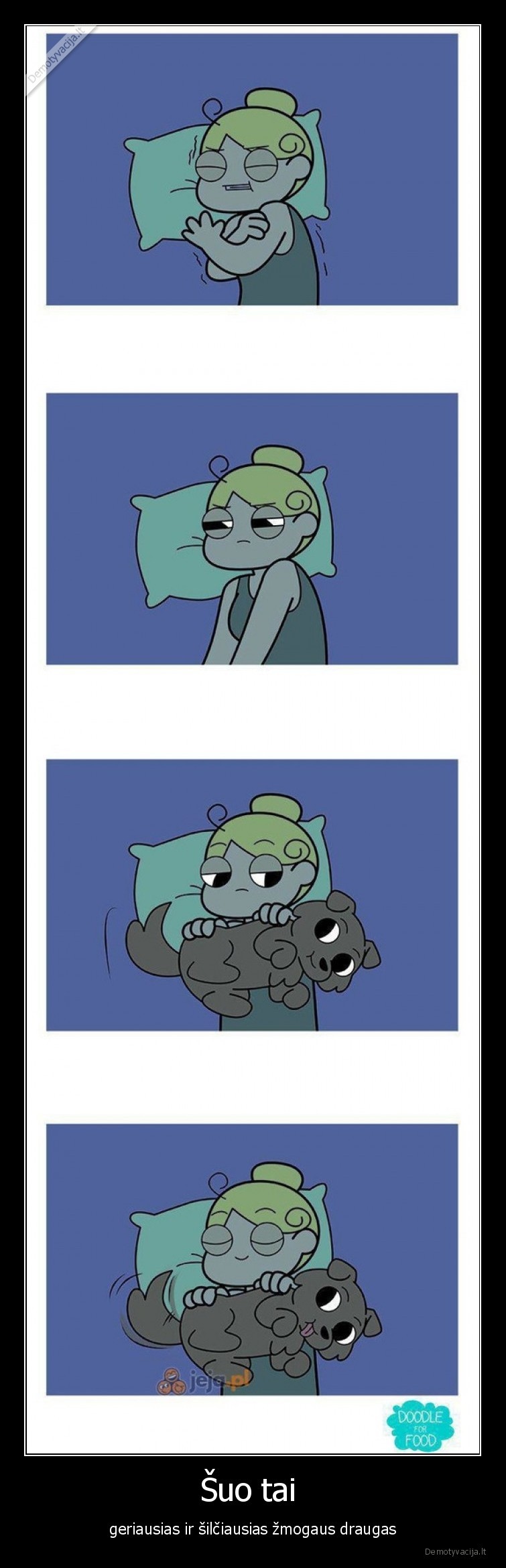 Šuo tai  - geriausias ir šilčiausias žmogaus draugas. 