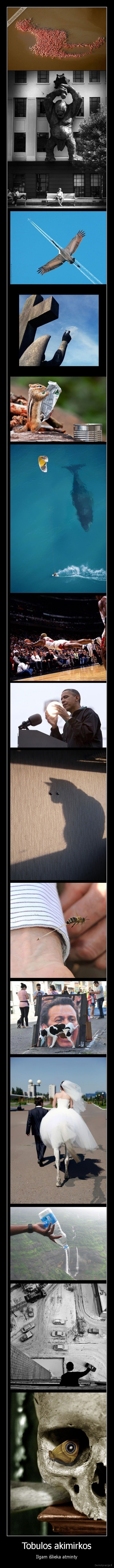 Tobulos akimirkos - Ilgam išlieka atminty