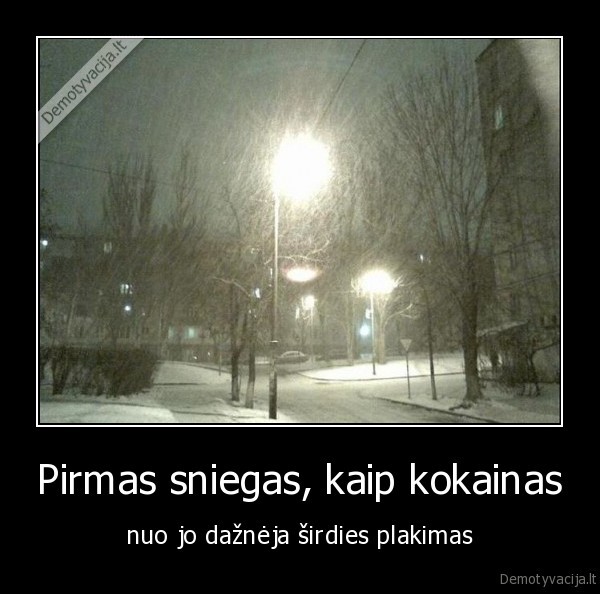 Pirmas sniegas, kaip kokainas - nuo jo dažnėja širdies plakimas. 