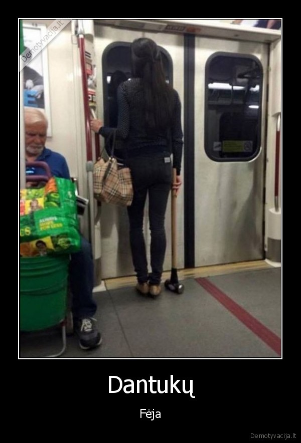 Dantukų - Fėja. 