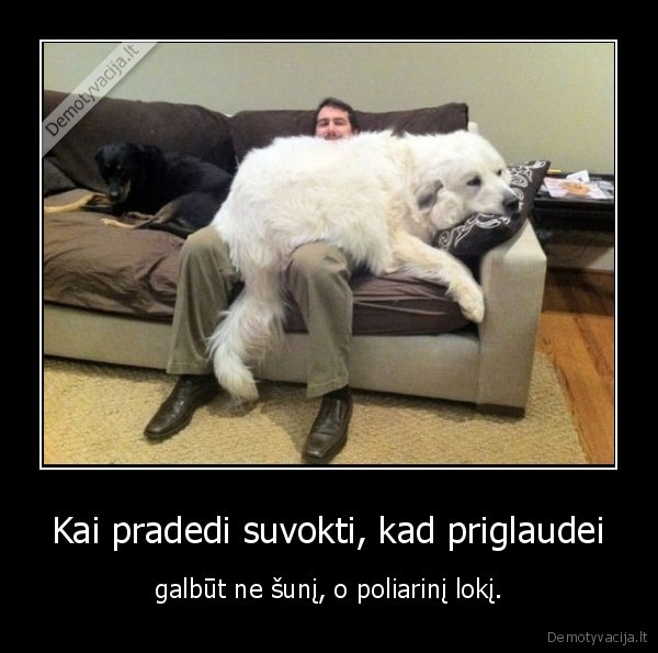 Kai pradedi suvokti, kad priglaudei - galbūt ne šunį, o poliarinį lokį.. 