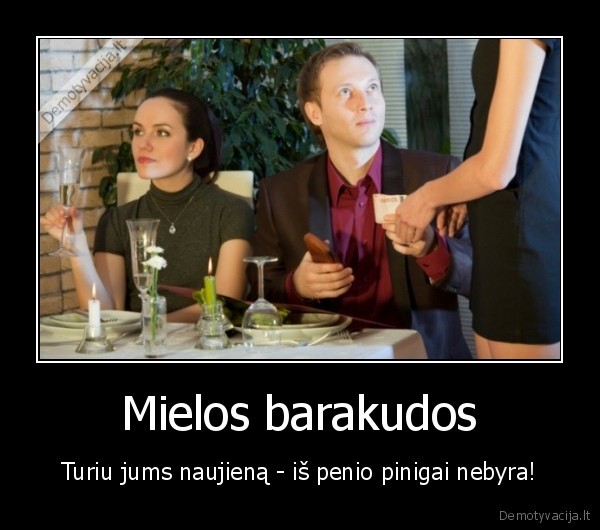 Mielos barakudos - Turiu jums naujieną - iš penio pinigai nebyra!. 