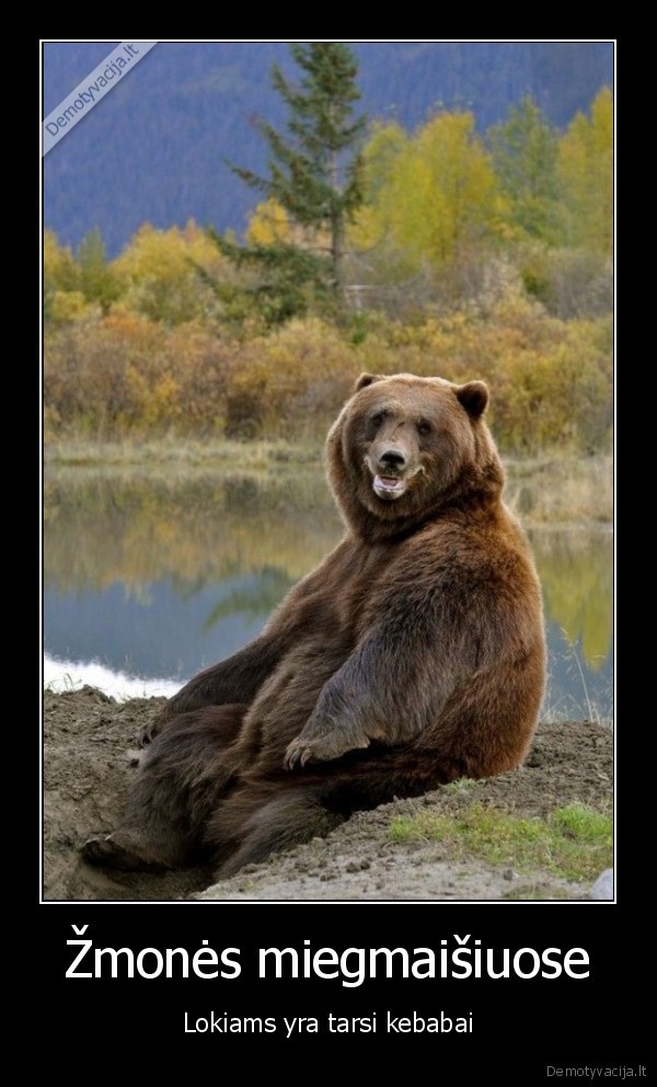 Žmonės miegmaišiuose - Lokiams yra tarsi kebabai. 