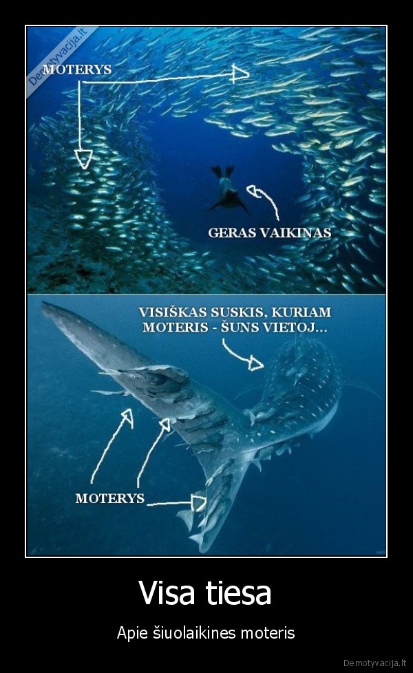 Visa tiesa - Apie šiuolaikines moteris. 