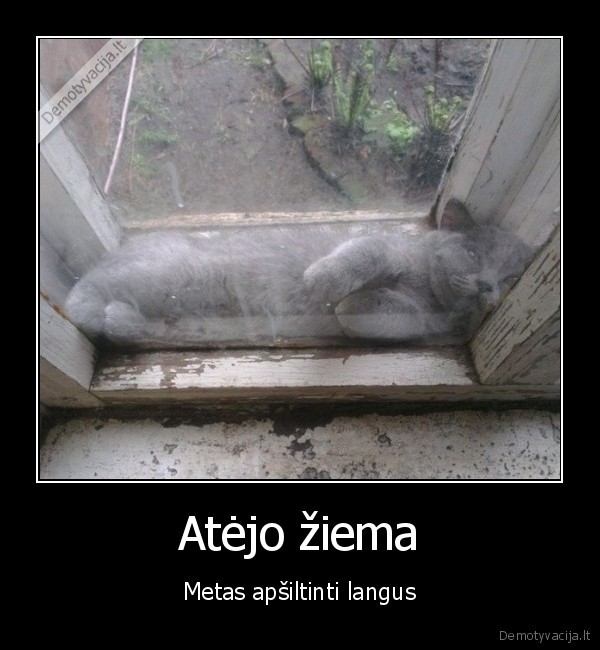 Atėjo žiema - Metas apšiltinti langus. 